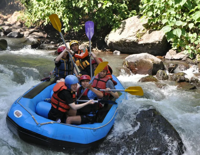 THE 15 BEST THINGS TO DO IN BATU 2026 visual data 2